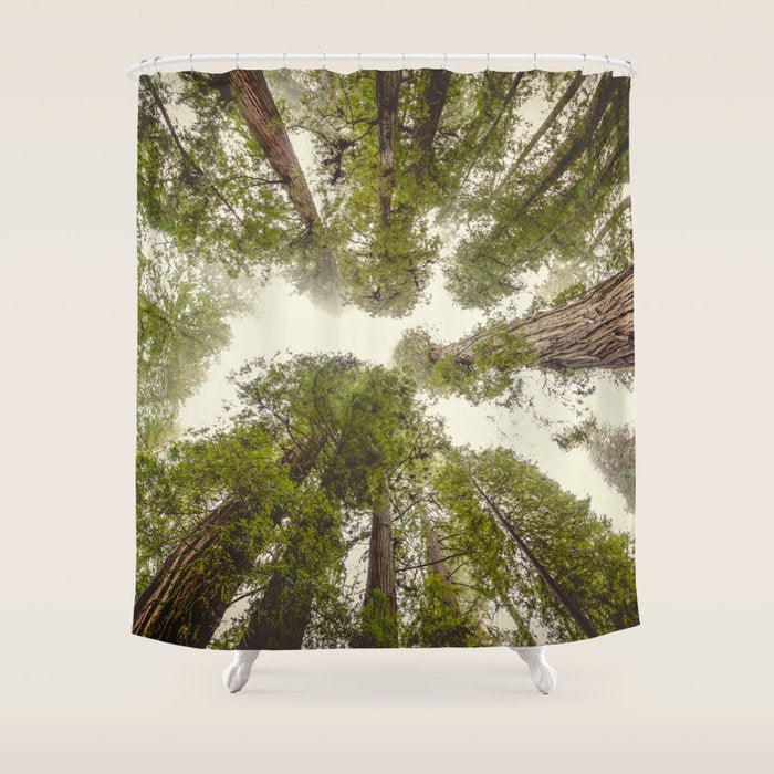 Into the Mist - Nature Photography Shower Curtain Gallery Image 1