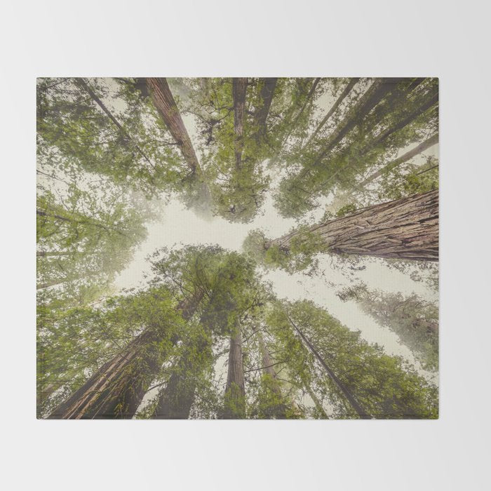 Into the Mist - Nature Photography Throw Blanket Gallery Image 2