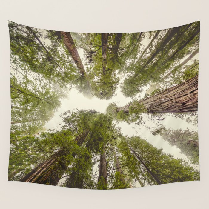 Into the Mist - Nature Photography Wall Tapestry Gallery Image 4