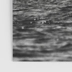 Whale Tail Poster Gallery Image 3
