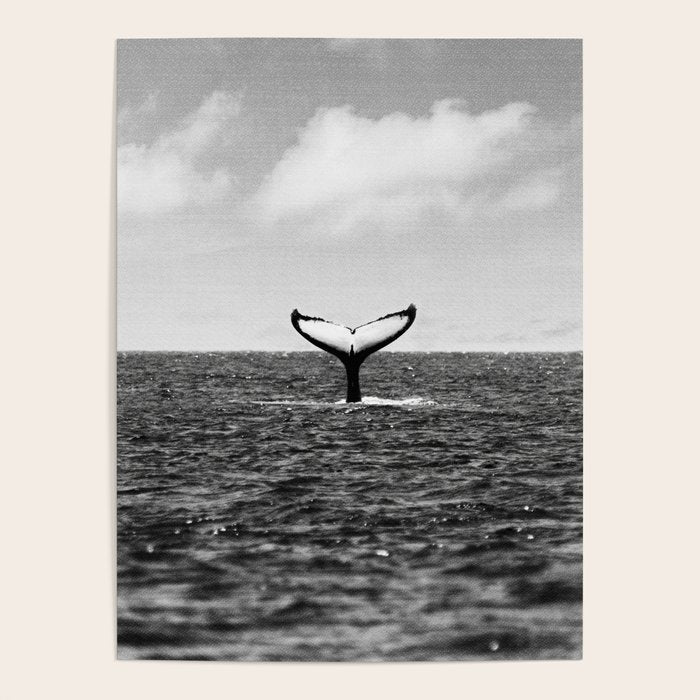 Whale Tail Poster Gallery Image 4