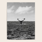 Whale Tail Poster Gallery Image 4