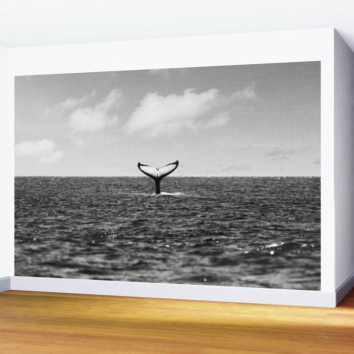 Whale Tail Wall Mural Gallery Image 2