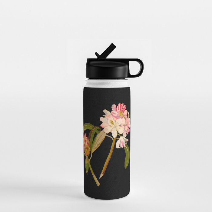 Rhododendron Maximum  by Mary Delany Paper Collage Floral Flower Botanical Paper Mosaic Vintage Scientific Plant Anatomy Water Bottle Gallery Image 1