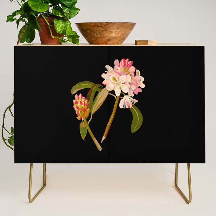 Rhododendron Maximum  by Mary Delany Paper Collage Floral Flower Botanical Paper Mosaic Vintage Scientific Plant Anatomy Credenza Gallery Image 1