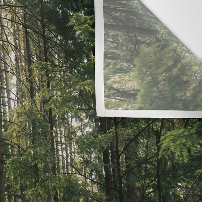 Walking through the Forest Wall Tapestry Gallery Image 3