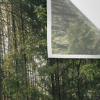 Walking through the Forest Wall Tapestry Gallery Image 3
