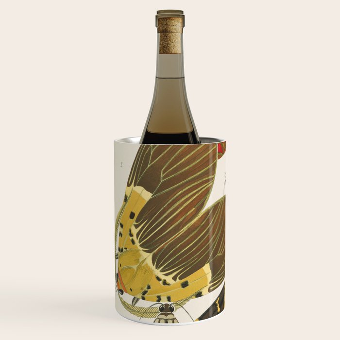 Moth Print by E.A. Seguy, 1925 #5 Wine Chiller Gallery Image 2