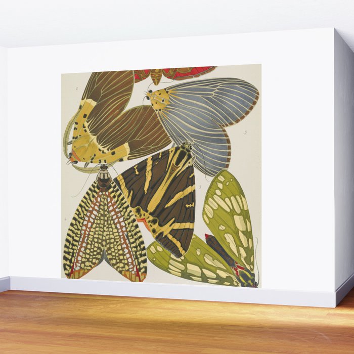 Moth Print by E.A. Seguy, 1925 #5 Wall Mural Gallery Image 2
