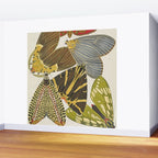 Moth Print by E.A. Seguy, 1925 #5 Wall Mural Gallery Image 2