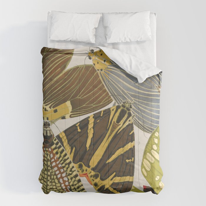 Moth Print by E.A. Seguy, 1925 #5 Comforter Gallery Image 6
