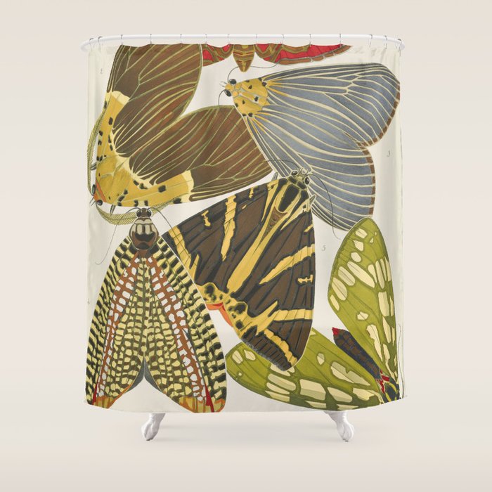 Moth Print by E.A. Seguy, 1925 #5 Shower Curtain Gallery Image 1