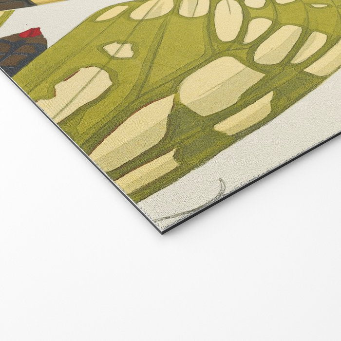 Moth Print by E.A. Seguy, 1925 #5 Welcome Mat Gallery Image 2