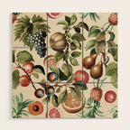 Fruitful Florals, Vintage Prints Food Wood Wall Art Gallery Image 1