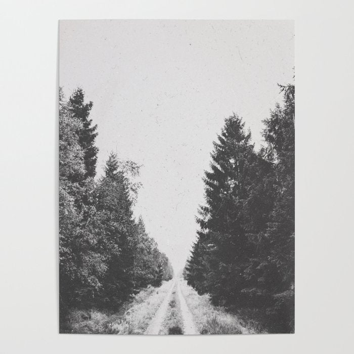 INTO THE WILD XXIII Poster Gallery Image 1
