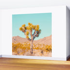 Vivid Desert - Joshua Tree Cactus Wall Mural Gallery Image 2