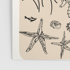 Minimal Sea Life 2 Poster Gallery Image 3