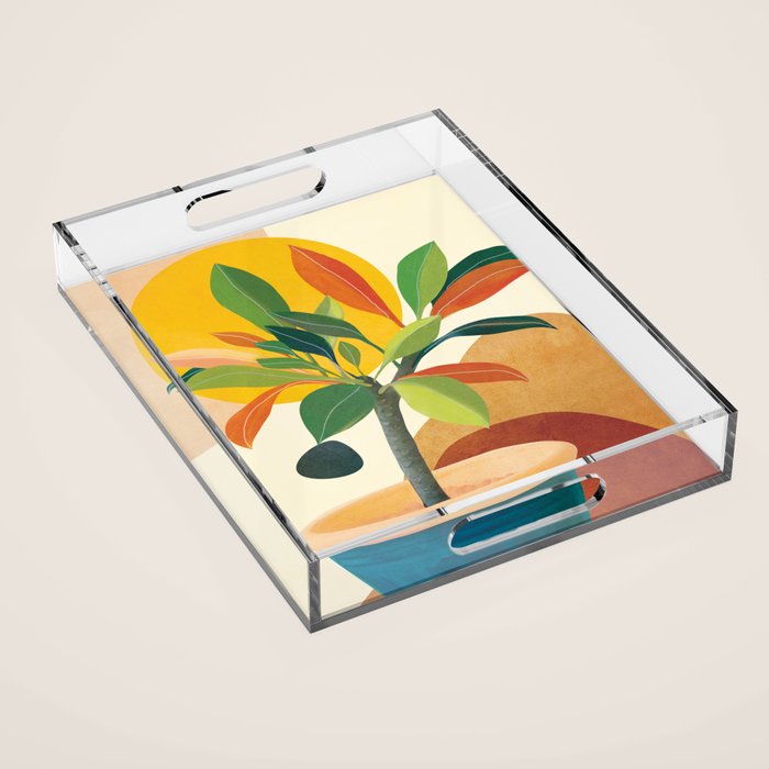 Colorful Branching Out 35 Acrylic Tray Gallery Image 1