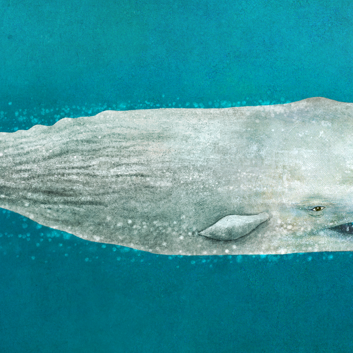 The Whale - Full Length - Option Coffee Mug Gallery Image 2