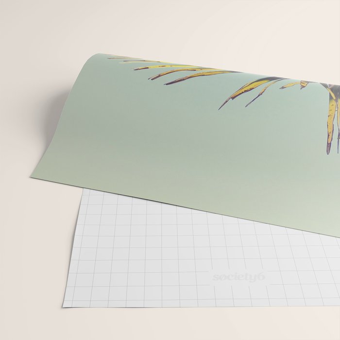 Palm Tree Wrapping Paper Gallery Image 2