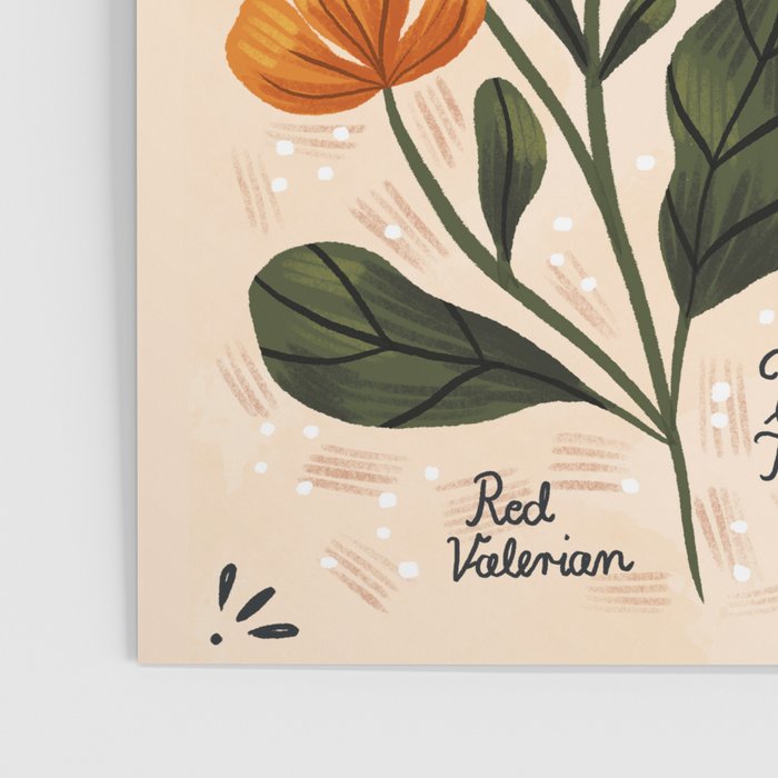 Wild Flowers ~ vol2.  vintage inspired botanical Poster Gallery Image 3