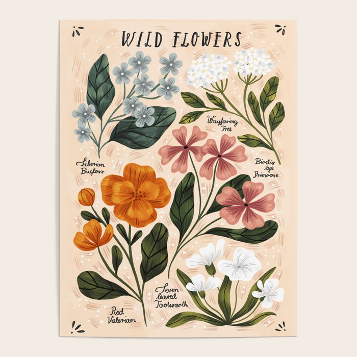 Wild Flowers ~ vol2.  vintage inspired botanical Poster Gallery Image 4
