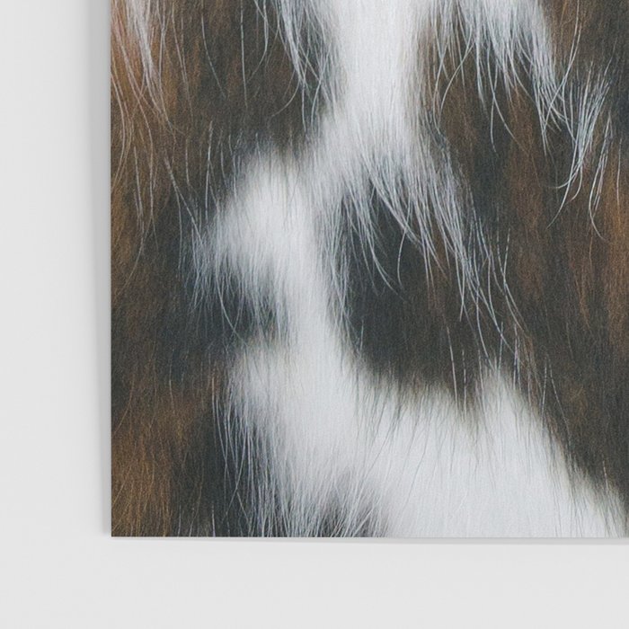 Cowhide Faux Texture  Poster Gallery Image 3