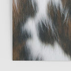 Cowhide Faux Texture  Poster Gallery Image 3