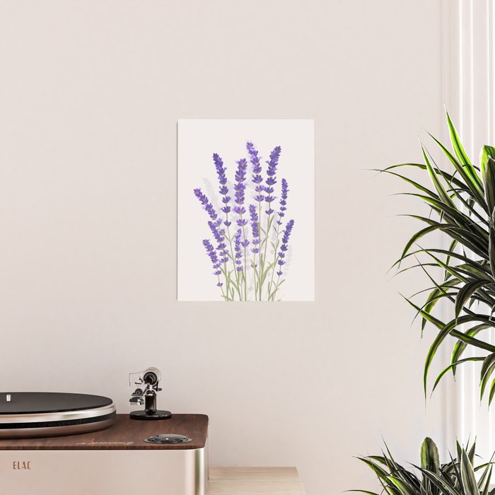 Lavender II Poster Gallery Image 2