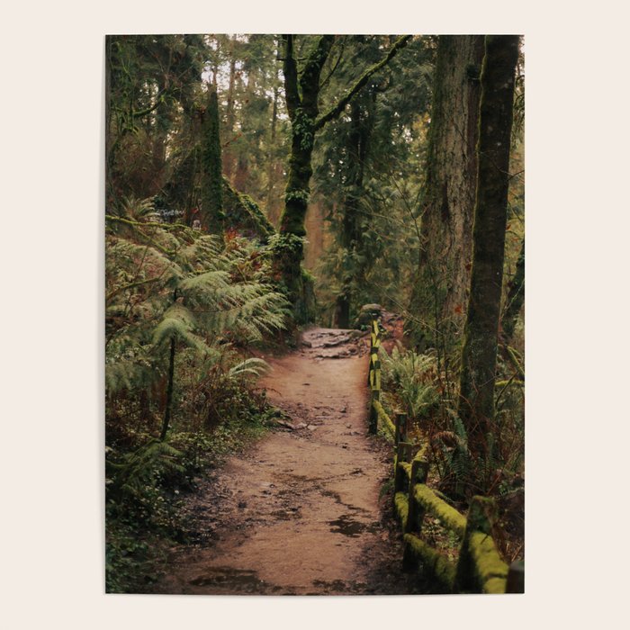 Forest Park Trail Poster Gallery Image 1