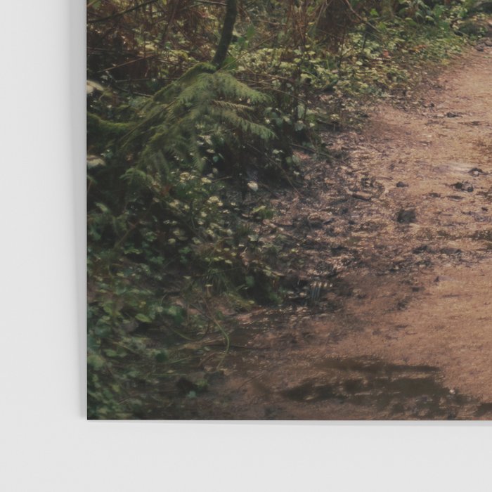 Forest Park Trail Poster Gallery Image 3