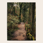 Forest Park Trail Poster Gallery Image 4