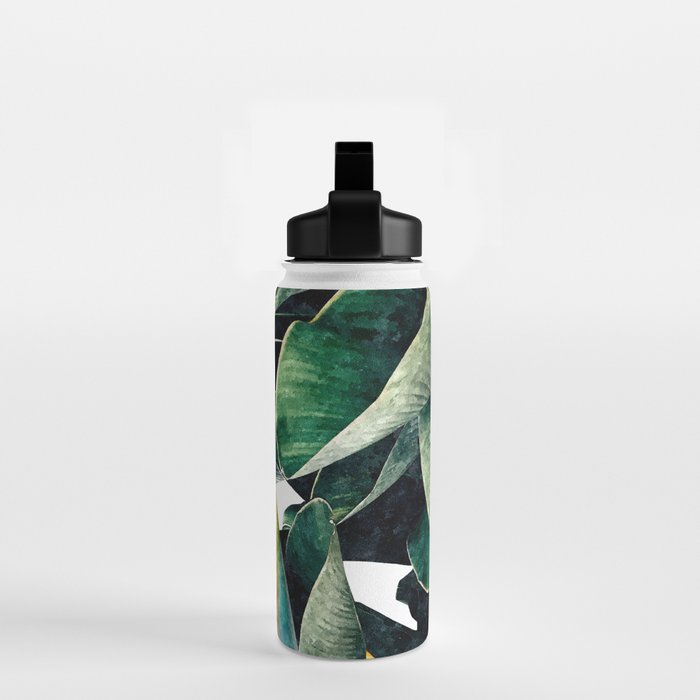 Paradise Bird, Nature Botanical Plant Floral, Tropical Garden Watercolor Painting Water Bottle Gallery Image 2