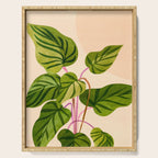Thriving In The Sun - Cute Botanical Painting Serving Tray Gallery Image 1
