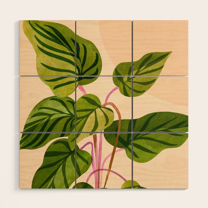 Thriving In The Sun - Cute Botanical Painting Wood Wall Art Gallery Image 1