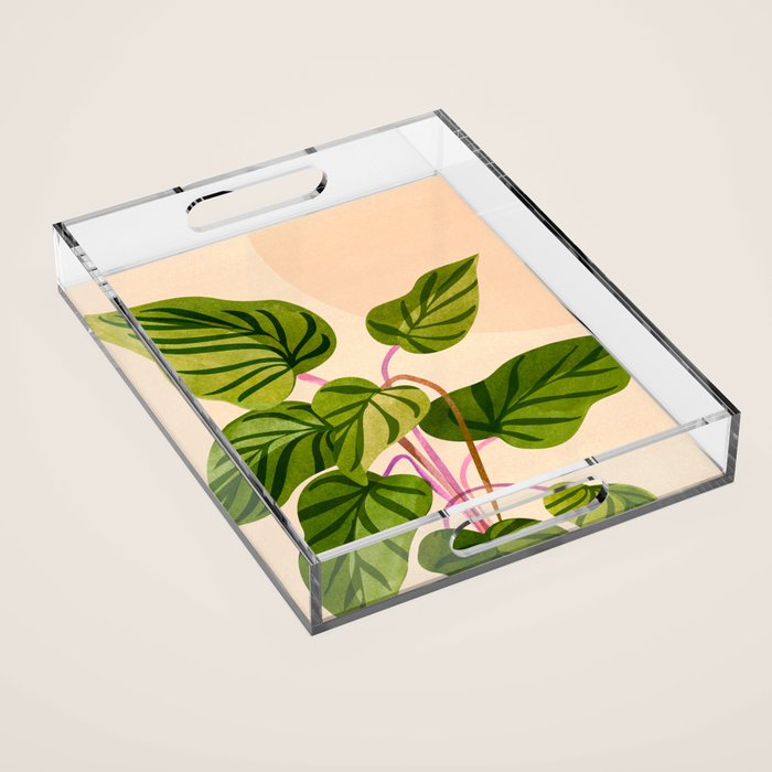 Thriving In The Sun - Cute Botanical Painting Acrylic Tray Gallery Image 1