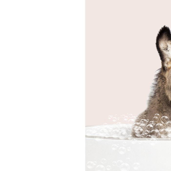 Baby Donkey in a Bathtub, Donkey Taking a Bath, Donkey Bathing, Bathtub Animal Art Print By Synplus Coffee Mug Gallery Image 2
