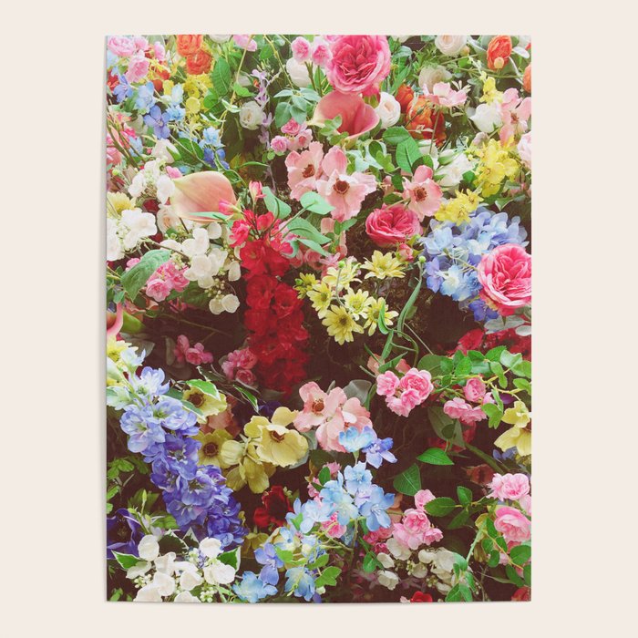 Floral Explosion Poster Gallery Image 4