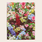 Floral Explosion Poster Gallery Image 4