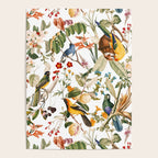 Floral and Birds XXXII Poster Gallery Image 4