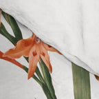 Floral and Birds XXXII Comforter Gallery Image 4