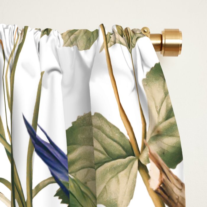 Floral and Birds XXXII Window Curtain Gallery Image 2