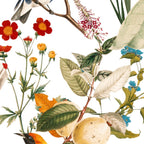 Floral and Birds XXXII Coffee Mug Gallery Image 2