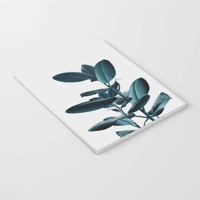 Ficus Notebook Gallery Image 3