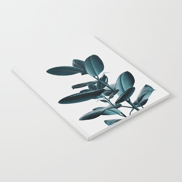 Ficus Notebook Gallery Image 1