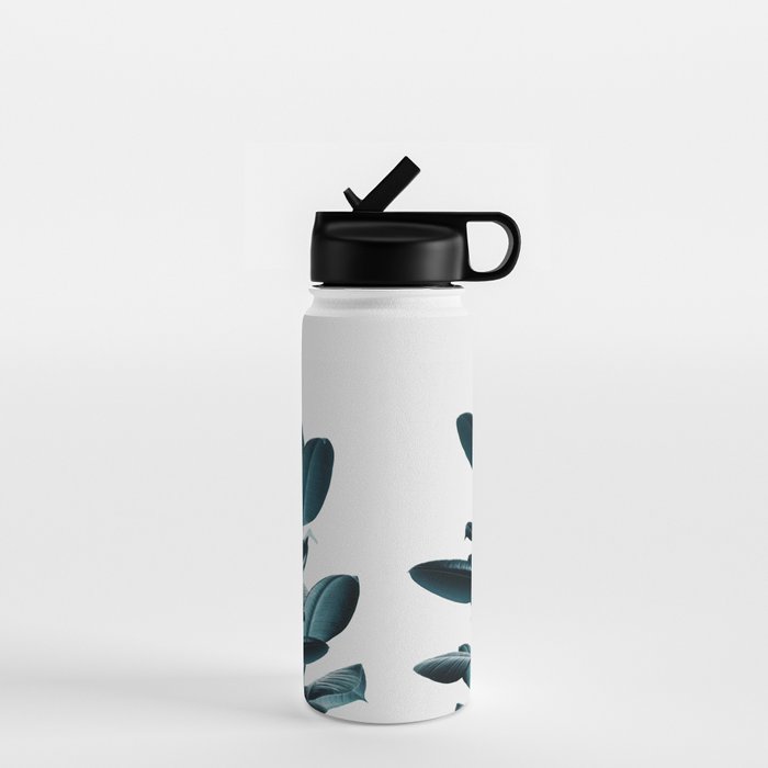 Ficus Water Bottle Gallery Image 1