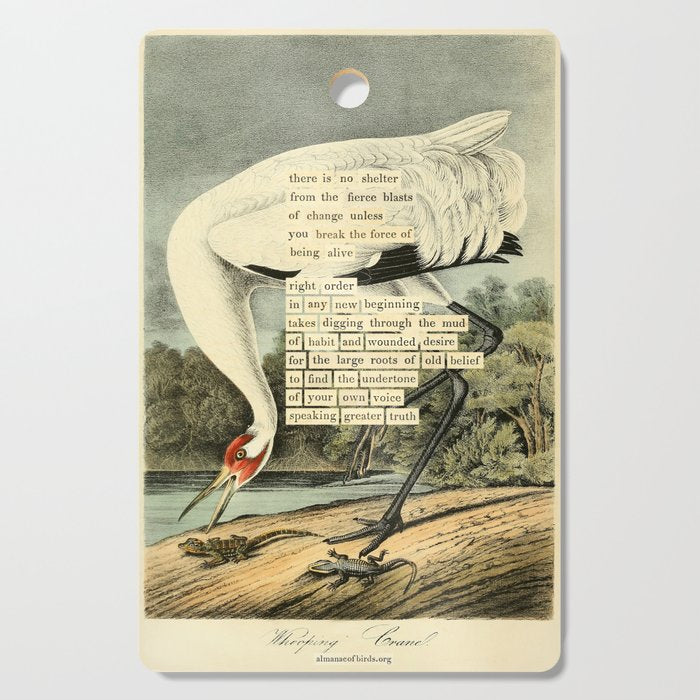 Bird Divinations: Whooping Crane (about: almanacofbirds.org) Cutting Board Gallery Image 1