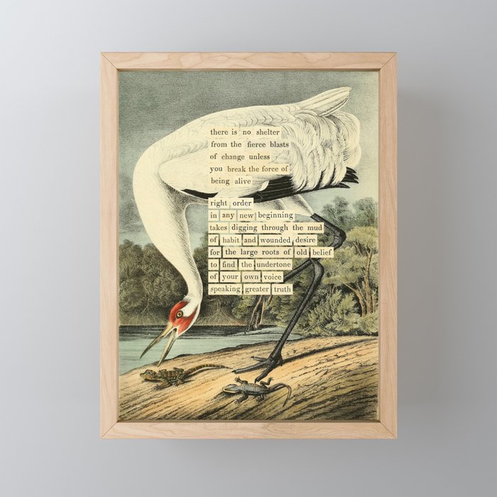 Bird Divinations: Whooping Crane (about: almanacofbirds.org) Mini Art Print Gallery Image 1
