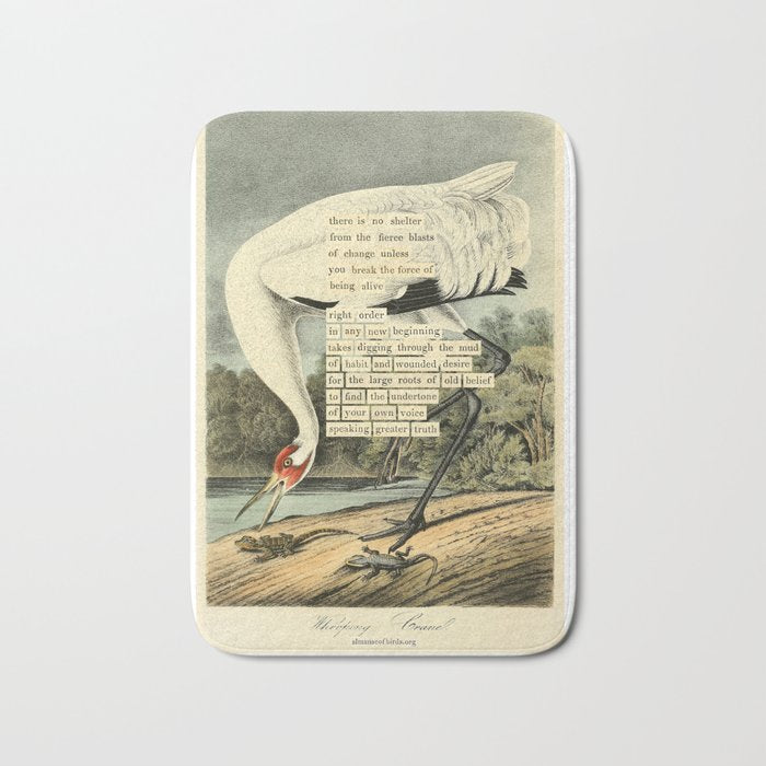 Bird Divinations: Whooping Crane (about: almanacofbirds.org) Bath Mat Gallery Image 1