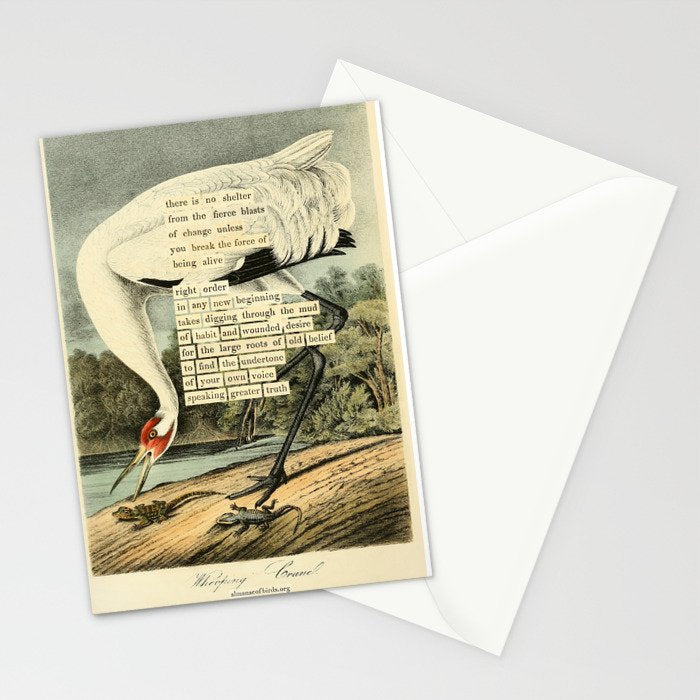 Bird Divinations: Whooping Crane (about: almanacofbirds.org) Stationery Card Gallery Image 2